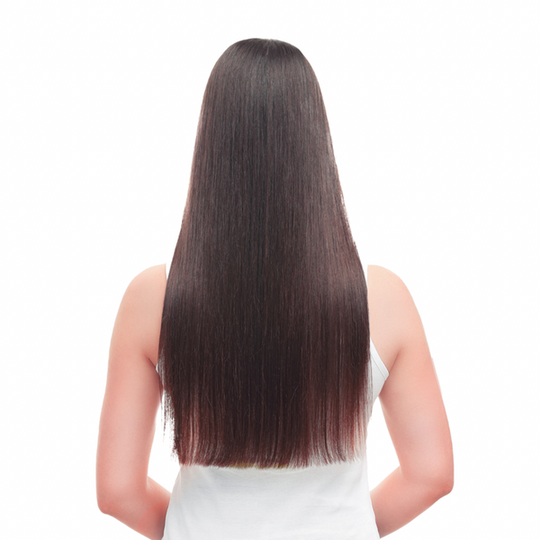 HairBuddy Detangler Brush